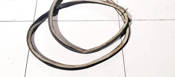 Citroen C5 Rubber seal front coupe door 