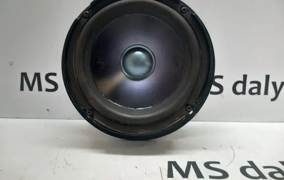 Mercedes-Benz R W251 Front door speaker A2518200202 2518200202