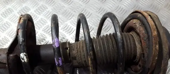 Peugeot 206 Front coil spring