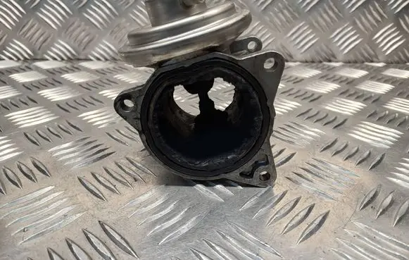Volkswagen Golf V EGR valve 038129637D 038131501S