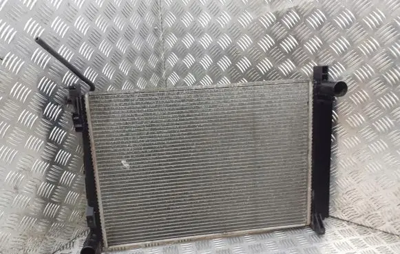Chrysler Grand Voyager IV Radiator set 8676840F