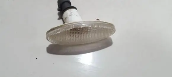 Front fender indicator light
