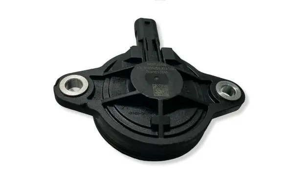 Porsche Cayenne (9Y0 9Y3) Valve oil control 06M109259P