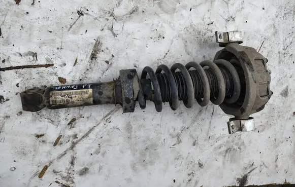 Volkswagen Touareg I Rear shock absorber/damper 7L6513029E