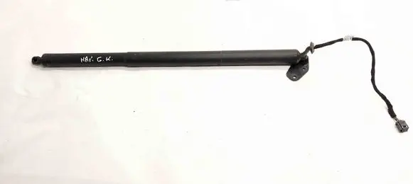 Tailgate/trunk strut/damper