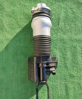 Porsche Panamera (971) Front air suspension shock absorber 976616037K