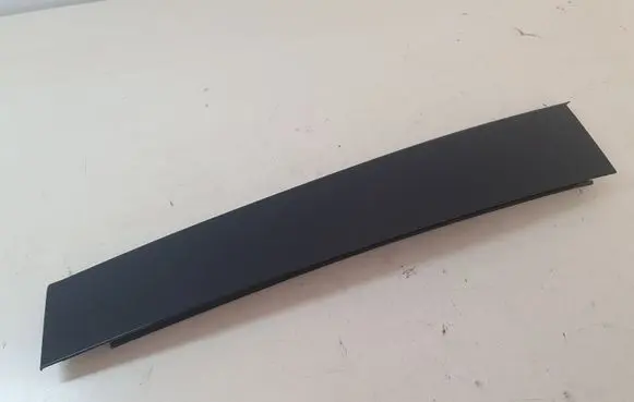 Volvo S40 Rear door glass trim molding 31213307