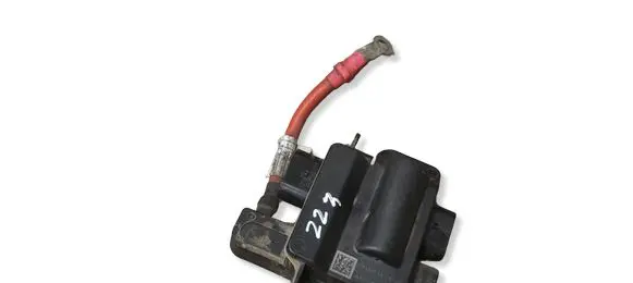 BMW X5 F15 Positive wiring loom 928550303