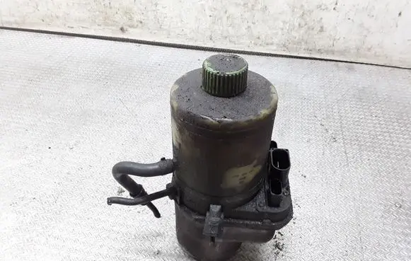 Electric power steering pump