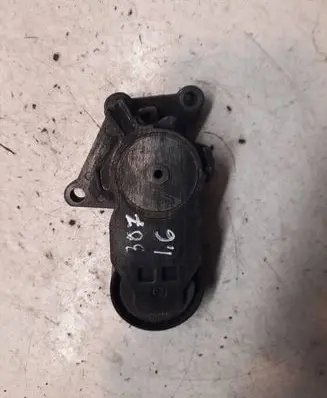 Peugeot 307 Alternator belt tensioner 419484