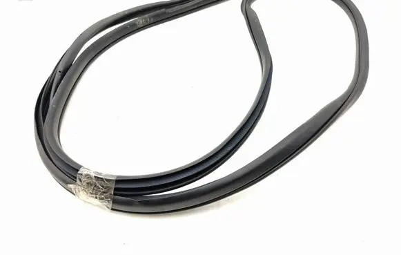 Nissan Leaf II (ZE1) Front door rubber seal 