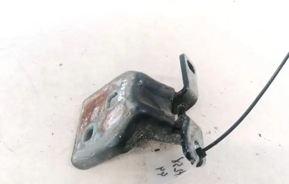 Chrysler Sebring (ST-22 - JR) Rear door lower hinge