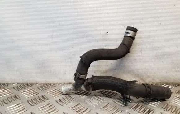 Nissan Juke I F15 Engine coolant pipe/hose