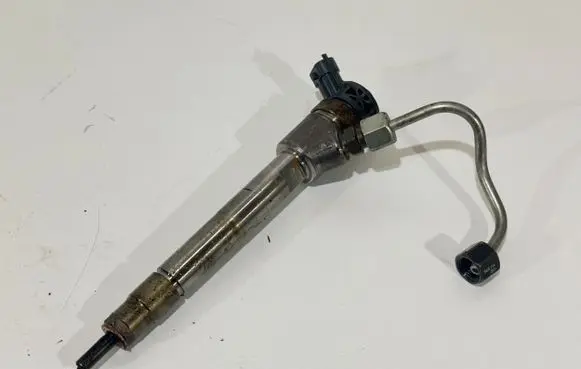 Citroen C4 III e-C4 Fuel injector 9828959880