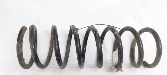 Front coil spring