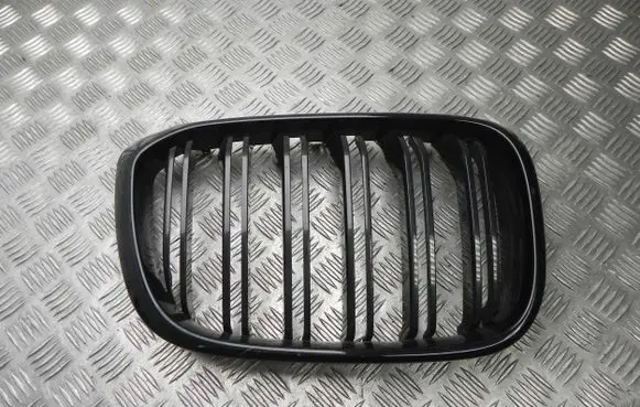 BMW X4 G02 Front grill 8071048