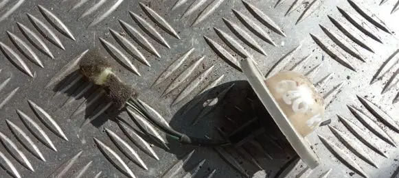 Number plate light
