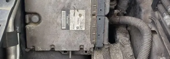 Opel Signum Engine control unit/module 8973521856