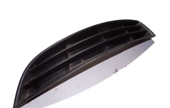 Volkswagen PASSAT B6 Front bumper lower grill