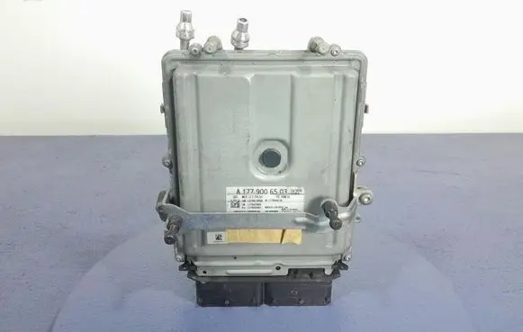 Engine control unit/module ECU
