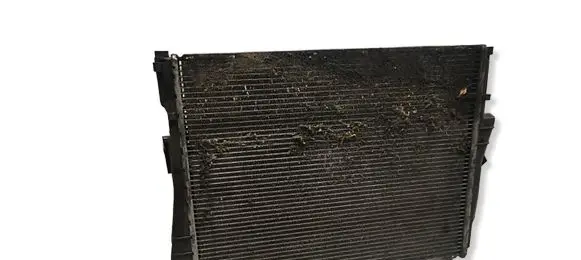 BMW 3 E46 Coolant radiator 1613090