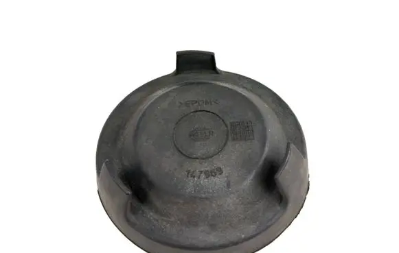 Volkswagen PASSAT B5 Headlight/headlamp dust cover 147969