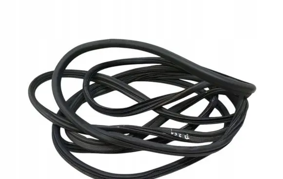 Peugeot 208 I Rubber seal front door (on door) 