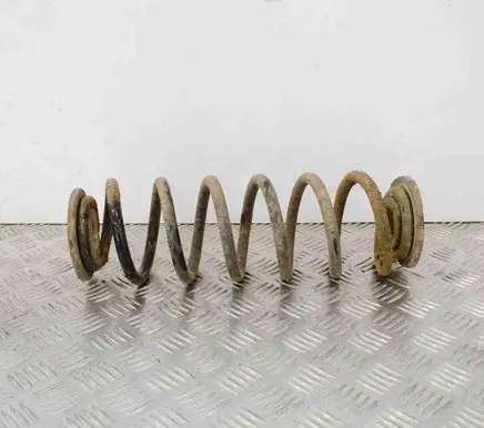 Volkswagen PASSAT B7 Rear coil spring