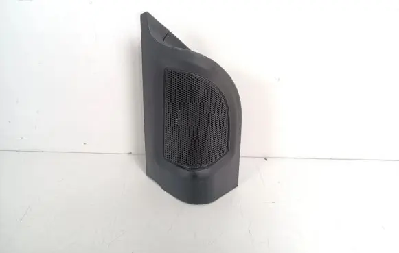 Other front door trim element