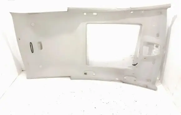 Mercedes-Benz B W245 Headlining 1696901650 A1696901650