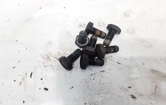 Renault Scenic I Nuts/bolts 