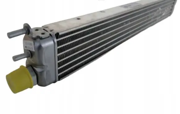 Mercedes-Benz CL C215 Engine oil radiator A2205000500