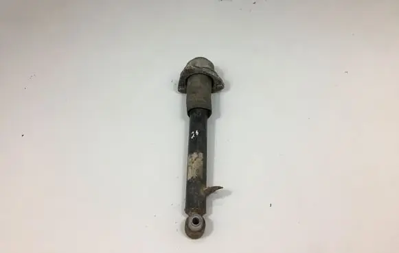 BMW X5 E70 Rear shock absorber/damper 6781928