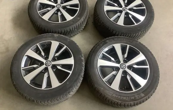 Nissan Leaf II (ZE1) R16 alloy rim N856012