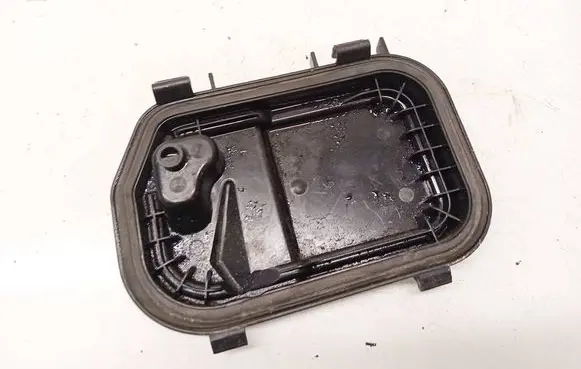 Audi A6 S6 C6 4F Headlight/headlamp dust cover 