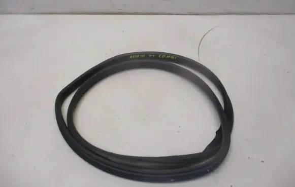Renault Clio III Rubber seal rear door 