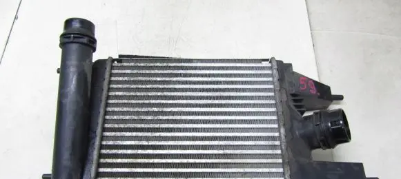 Nissan Juke I F15 Intercooler radiator 144613ZU0B