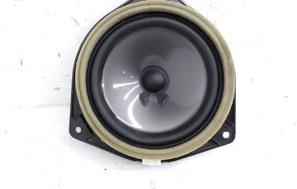Lexus RX III Rear door speaker 861600E170