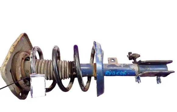 Fiat Scudo Front shock absorber with coil spring 40266230020