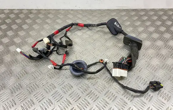 Hyundai Santa Fe Front door wiring loom 916002B200