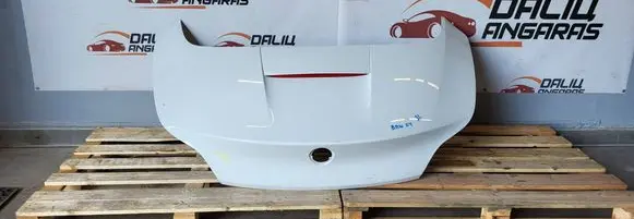 Tailgate/trunk/boot lid