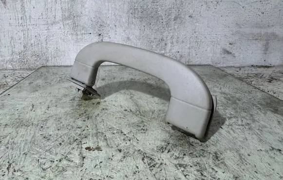 Mercedes-Benz B W245 Front interior roof grab handle A1698100151