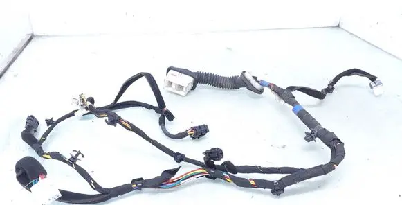 Front door wiring loom