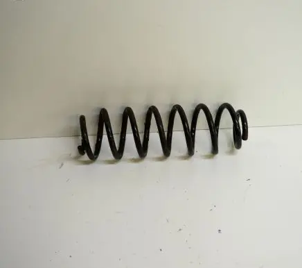 Rear coil spring