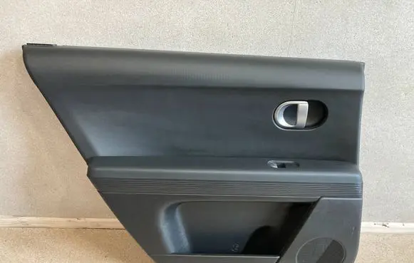 Hyundai Ioniq 5 Rear door card panel trim 