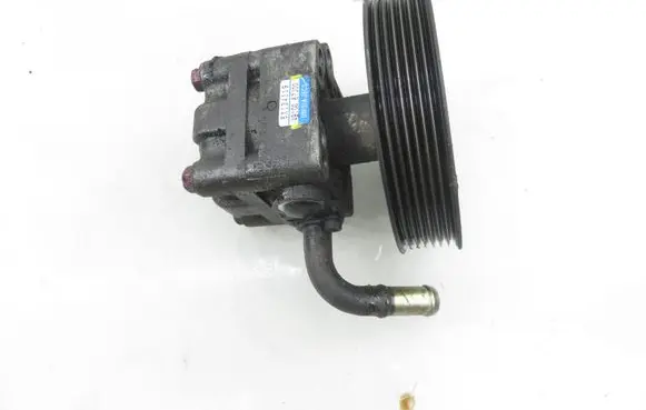 Suzuki Grand Vitara II Power steering pump 4910067J00