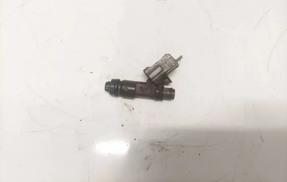 Fuel injector