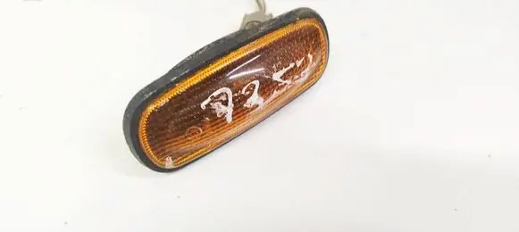 Front fender indicator light