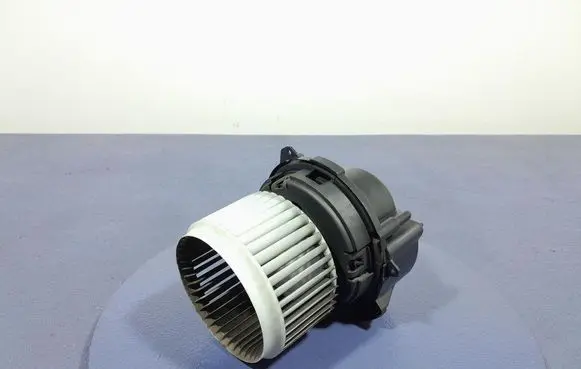 Dacia Sandero Heater fan/blower M01163606870