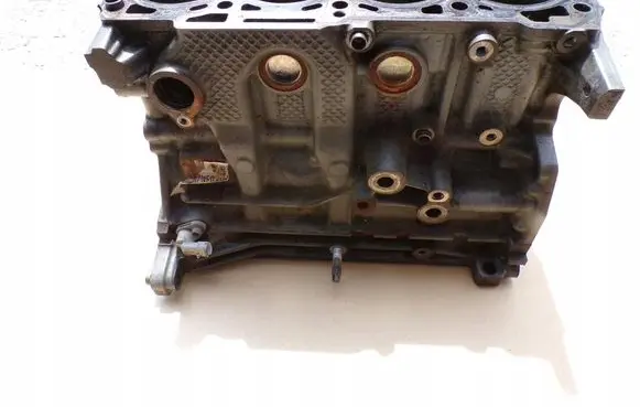 Fiat Doblo III Engine block 55273740